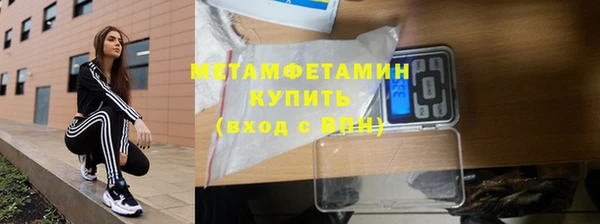 ПСИЛОЦИБИНОВЫЕ ГРИБЫ Богданович